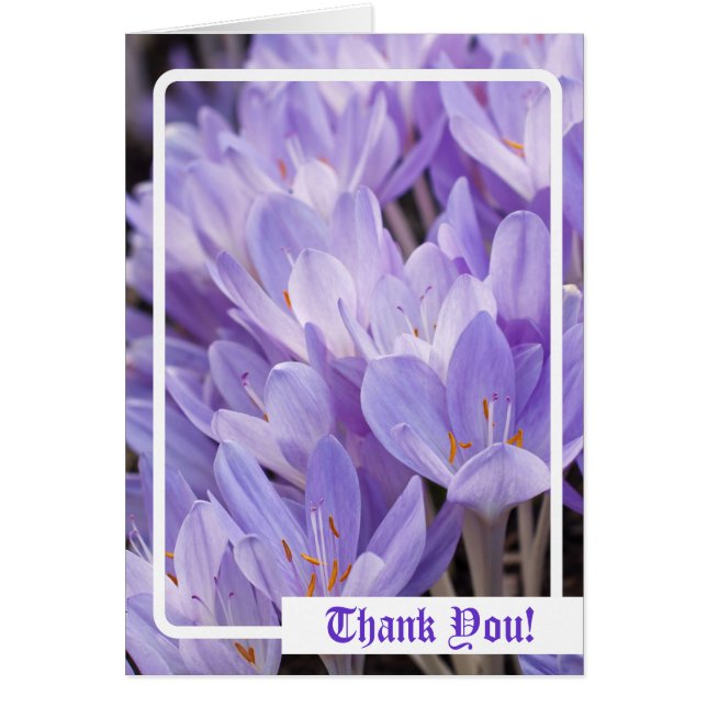 Thank You! Card (Front)