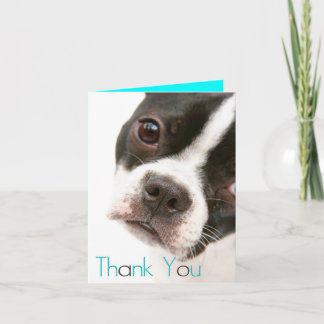 Thank You Card