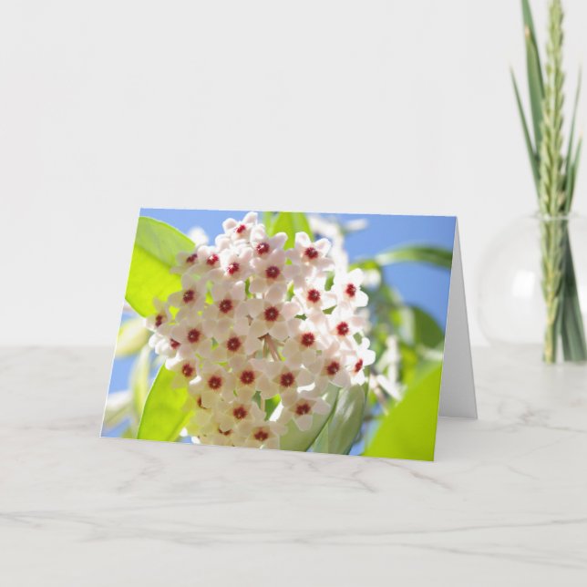 Thank You Card (Front)