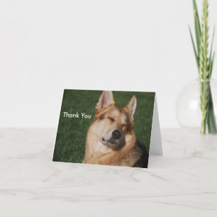 Thank You Card