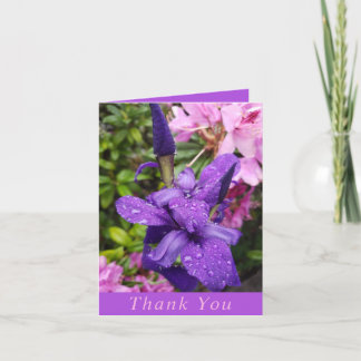 Thank You Card