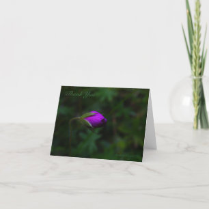 Thank You Card
