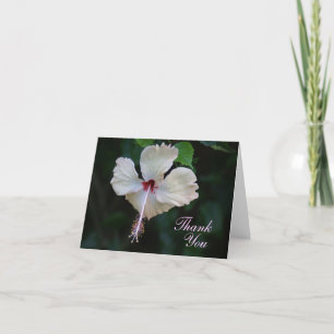 Thank You Card