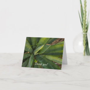 Thank You Card Aloe Vera