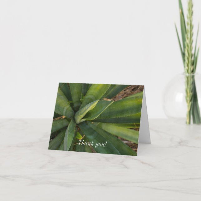Thank You Card Aloe Vera (Front)
