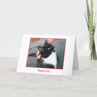 Thank You Card, blank inside.