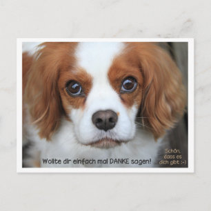 Thank you card - Dankeskarte Cavalier Charly
