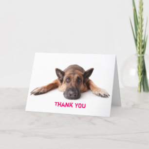 Thank You Card German Shepherd Dog