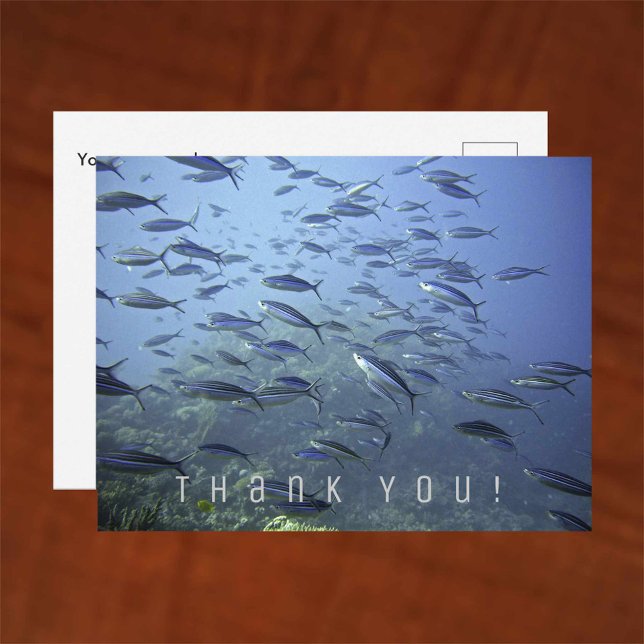 Thank You Card. Shoal of Fish. Diving Underwater. Postcard (Creator Uploaded)
