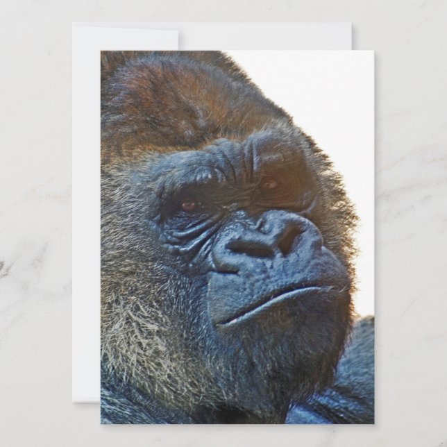 Thank You Card with Gorila (Front)