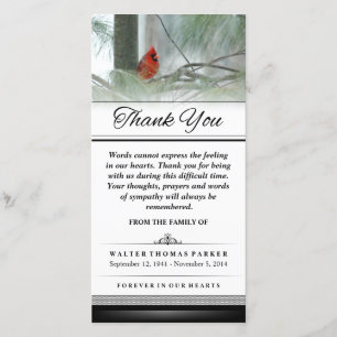 Thank You Cardinal Bird Words Cannot Express