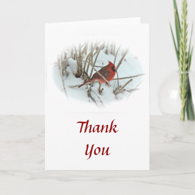 Thank You Cardinal Songbird (Front)