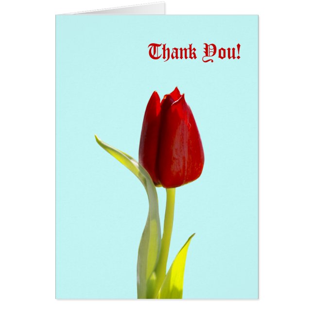 Thank You! Cards (Front)