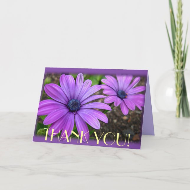 Thank You Cards Daisies Flowers Custom Greeting Ca (Front)
