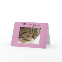 Thank You Cat Card