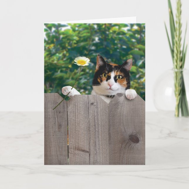 Thank You Cat Card Funny Cute Adorable Best (Front)