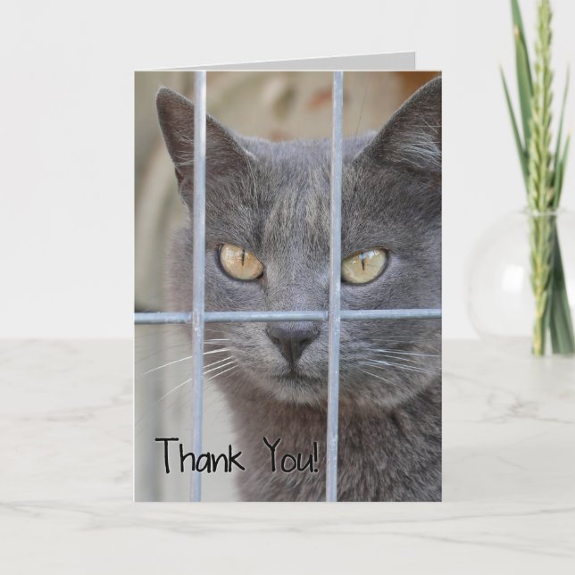 Thank You! Cat Thank You Card (Front)