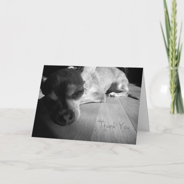 Thank You Chihuahua Card (Front)