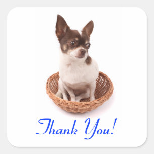 Thank You Chihuahua Puppy Dog Greeting Sticker