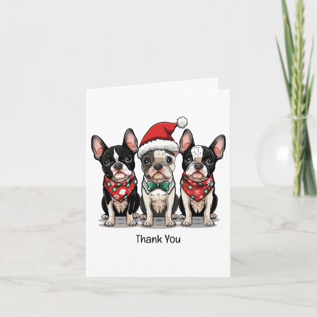 Thank You Christmas Boston Terrier Dogs Card (Front)