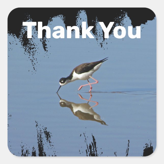 Thank You Coast Beach Bird Reflection Appreciation Square Sticker (Front)