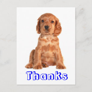 Thank You Cocker Spaniel Puppy Dog Postcard
