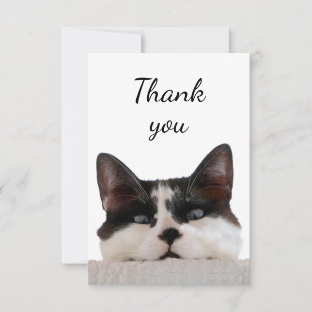 Thank You Cute Cat Kitten Peeking Out at You (Front)
