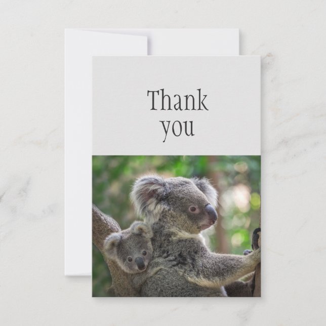 Thank You Cute Little Koala Bear & Joey (Front)