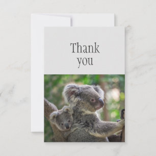 Thank You Cute Little Koala Bear & Joey Card