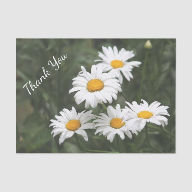 Thank You Daisy Tissue Paper (Front)
