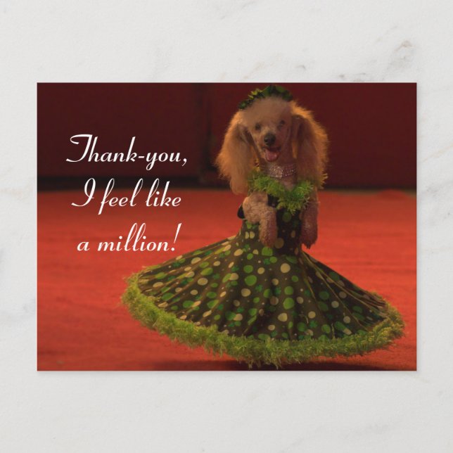 Thank-you Dog Postcard (Front)