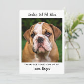 Thank You Dog Sitter Simple Cute Custom Pet Photo Card (Standing Front)