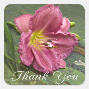 Thank You Floral Pink Lily Flower Sticker