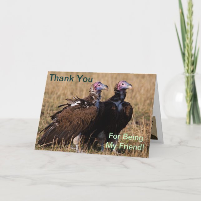 Thank You for Being My Friend, Vulture Card (Front)