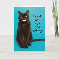 Thank You for Cat Black Cat WIth Human Teeth Humou
