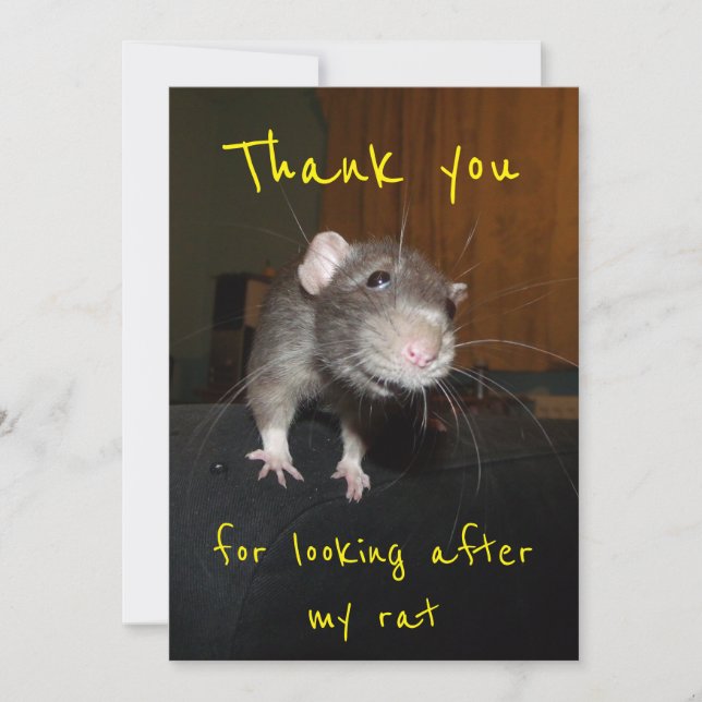 Thank you for looking after my rat card (Front)
