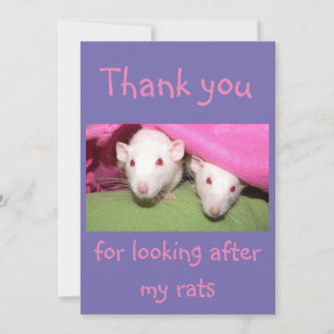 Thank you for looking after my rats card