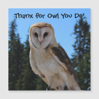 Thank You for Owl You Do - Barn Owl Photo Magnetic
