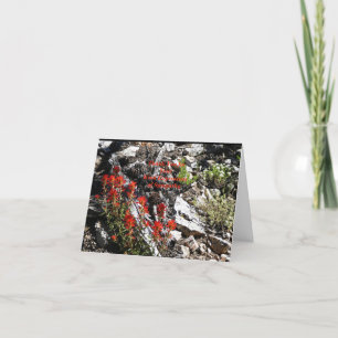 Thank You for Sympathy, Red Flowers and Rocks Card