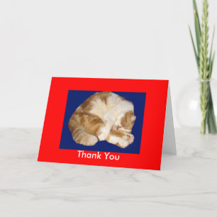 Thank You for Taking Care of My Kitty Card