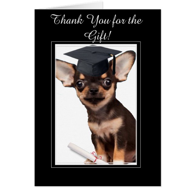 Thank You for the Graduation Gift Chihuahua card (Front)