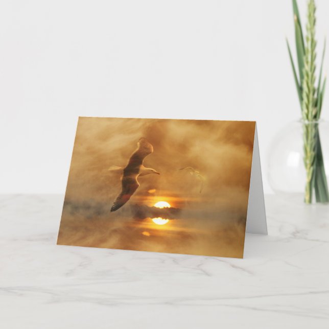 Thank you for The Sympathy, Support Cards Sea Bird (Front)