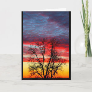 Thank You For Your Service To Our Country Card