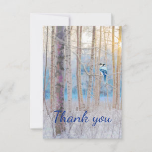 Thank You Forest Blue Jay Bird Nature Wildlife Art Card