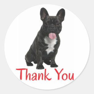 Thank You French Bulldog Puppy Dog Sticker