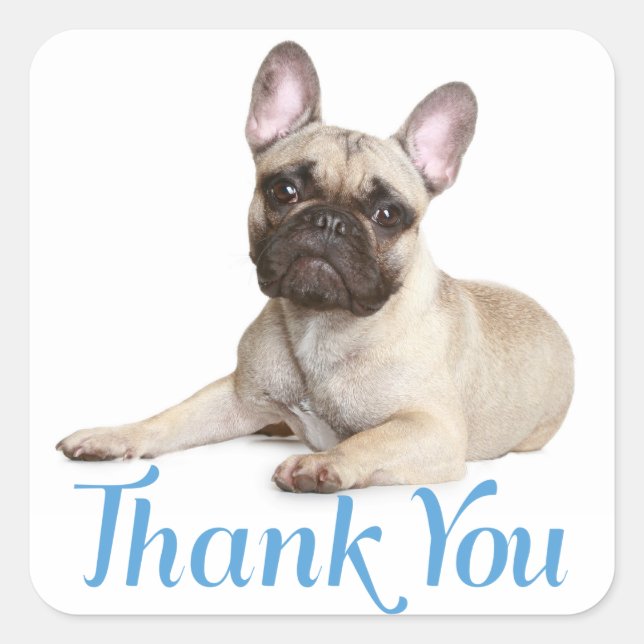 Thank You French Bulldog Puppy Dog  Sticker (Front)