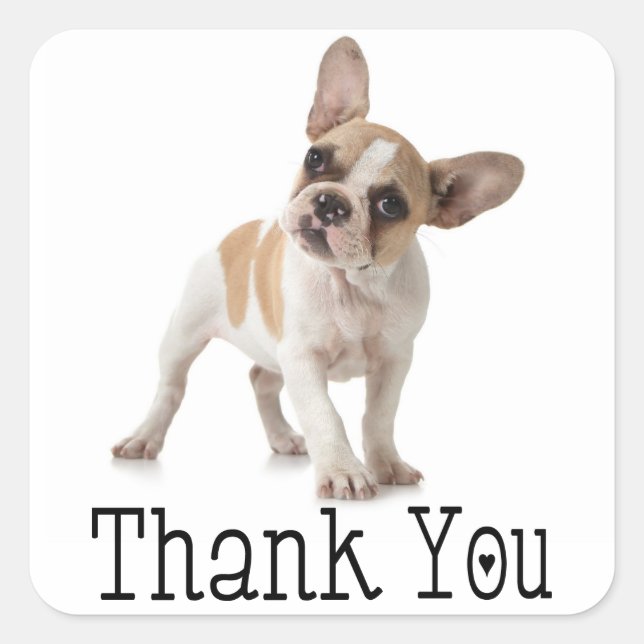 Thank You French Bulldog Puppy Dog Sticker (Front)