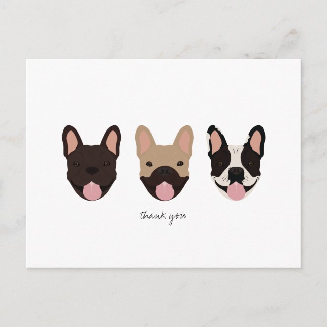 Thank You French Bulldogs  Postcard (Front)