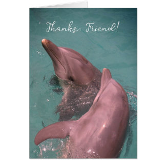 Thank You Friend Dolphins Playing Together