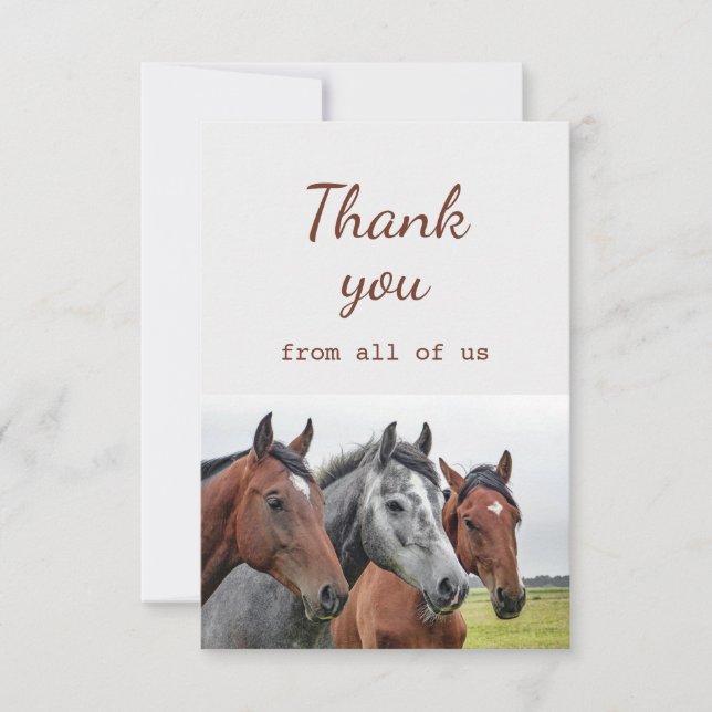 Thank You From All of Us Horses Fun Card (Front)